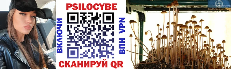 цены наркотик Ярцево Галлюциногенные грибы Cubensis