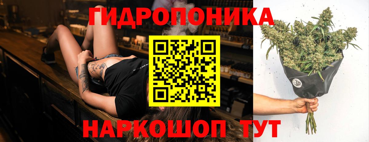 Ярцево  Бошки Шишки конопля  Канабис OG Kush  Канабис семена  Вход с VPN 